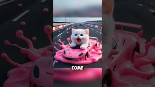 kitten riding slime racing car #cats #catlover #cat #catvideos #cutecat