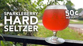 World's CHEAPEST hard seltzer recipe: Sparkleberry