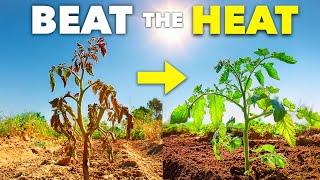 How Smart Gardeners Prepare for a Heatwave