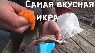 Самая вкусная икра и второй перегон сэма