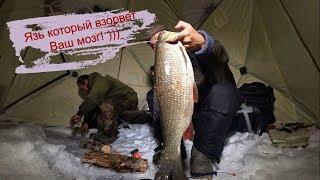 Рыбалка! Язь который взорвет Ваш мозг! Якутия Yakutia