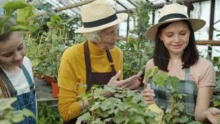 Cheerful family discussing green plants working in hothouse talking and laughing together