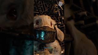 Did you cry at this scene?  #guardiansofthegalaxy #rocket #floor #teefs #layla #marvel #shorts