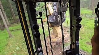 TIGERCAT fellerbuncher logging