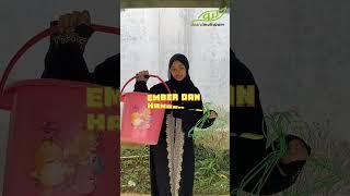 Siapa nih yang sebentar lagi masuk pondok?  #mondok #santri #DaarulMultazam