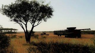 Western Australia 16x Map Harvest 2021 - Case Axial-Flow 9250 + Midwest Durus 60Ft - FS19