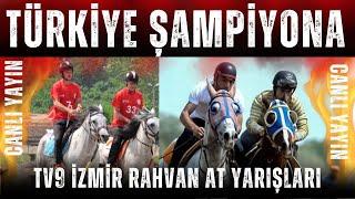 TÜRKİYE ŞAMPİYONA RAHVAN AT YARIŞI