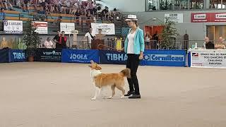 Anastasiia Beaumont & Yuki, Grand Prix France 1st place