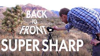 Tips for Sharp Landscape Photos (in ONE SHOT!)