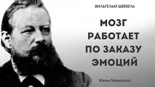 Премудрые мысли Вильгельма Швебеля. Цитаты, афоризмы, мудрые слова.