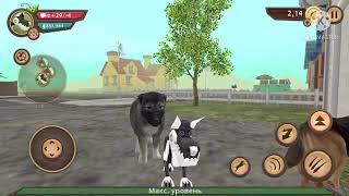 Как взломать игру Dog sim