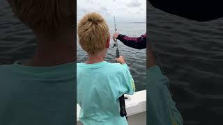 Catching Bait Fish 