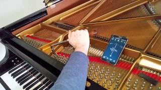 Priorities for regular fine tuning of a Steinway model B - Roberts Pianos