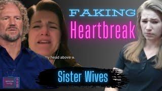 Kody Isn't Heartbroken Over Meri | Sister Wives