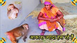 Monkey Rani Ameging funny video ।। रानी आकाश की जबरदस्त फनी विडियो @AkashRBL783