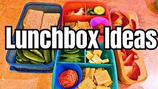 SIMPLE LUNCHBOX IDEAS | REALISTIC AND EASY LUNCHES | WEEK OF SCHOOL LUNCHES