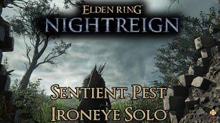Elden Ring Nightreign - Solo Ironeye vs. Sentient Pest