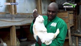 Rabbit Farming | Horizon Report | HorizonTV Kenya