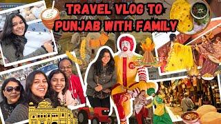 Travel Vlog To Punjab With Family| Vidushi Aggarwal Vlogs| Vlog 100