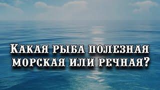 Какая рыба самая полезная — морская или речная