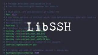 Complete SSH & FTP Hacking Course!