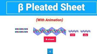 Beta Sheet (Animation)