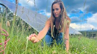 BUILDING an OFF GRID, SELF RELIANT Life