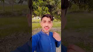 #funny ##comedy #funny #
