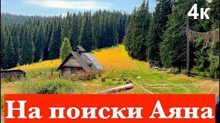 В поисках Аяна. Приключение на полоныне Кукул. Карпаты / Travel to the Carpathian Mountains Ukraine