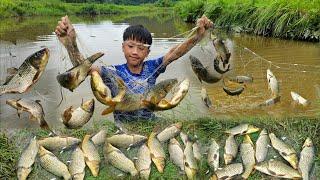 Nam's fishing net skills. Nam's joy when the net is full of fish. Catching fish for sale