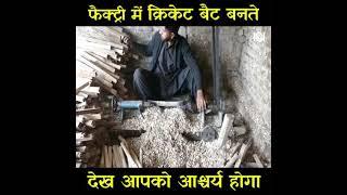 HOW TO MAKE CRICKET BAT ।