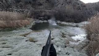 ÖRDEK AVI. DUCK HUNTING. YARALI YEŞİLBAŞ. BEHRI BOZ AVI