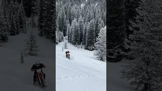 STEEP hillclimb on KTM Timbersled