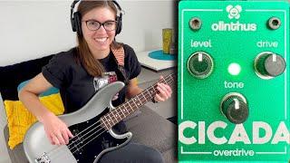 Olinthus Cicada Overdrive BASS DEMO - Super Tiny Pedal!