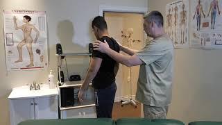 Osteopathic Assessment (Demo) - London College of Osteopathy and Health Sciences