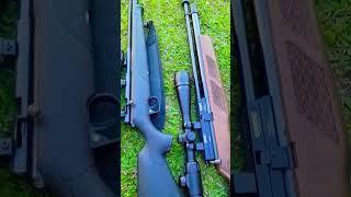 GAMO  Vs BENJAMIN  PCP RIFLE - Made in #spain & #america #airgun