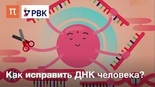 Как исправить ДНК человека