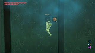 Botw How to shield clip through walls in Master sword trials