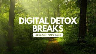 Digital Detox: Reclaim Your Time #detox #minddetox  #mindfulness #health #digitaldetox