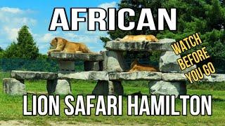 African Lion Safari Hamilton Canada | Everything you need to know | Must Watch