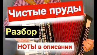 Чистые пруды Тальков - Разбор как играть с нуля на Аккордеоне - Бесплатный урок Аккордеона