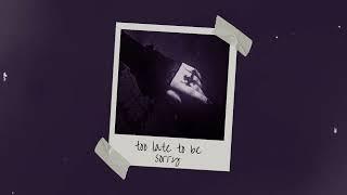 too late to be sorry (slowed | reverb | muffled)