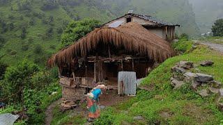 Organic Nepali Rural Village Life in Rainy Day | Most Peaceful And Relaxing Mountain Village Life |