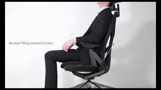 Fercula Executive Mesh Ergonomic Office Chair