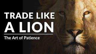 Trade Like a Lion | The Art of Patience ( NO FOMO )