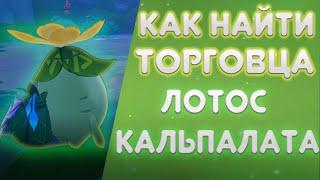 Как купить лотос кальпалата? Как найти торговца? | Genshin Impact 3.2 |