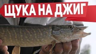 МИКРОДЖИГ В ДЕЛЕ | Рыбалка с Fishingsib