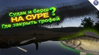 СУДАК И БЕРШ НА СУРЕ || ГДЕ ЗАКРЫТЬ ТРОФЕЙ? || РУССКАЯ РЫБАЛКА 4