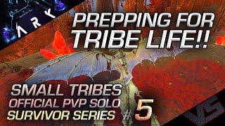 Solo Small Tribes #5 | FINALLY GETTING A TRIBE TOGETHER! | Official PvP Solo Survivor Series