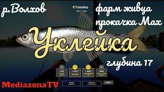 Руссккая Рыбалка 4 Где Клюет р Волхов Уклейка 31 01 23